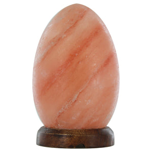 Alternative Distribution Salt Crystal Lamp Egg