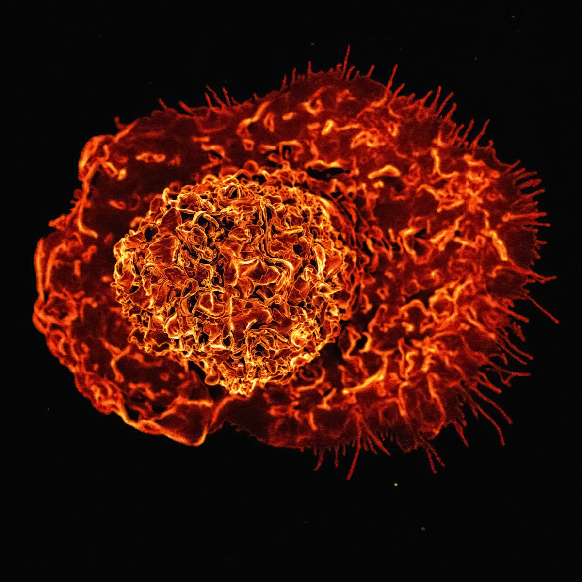 a close up of a red and yellow substance