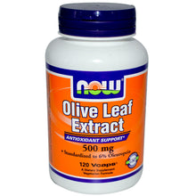 Load image into Gallery viewer, Now Foods, Olive Leaf Extract, 500mg, 120 Vcaps