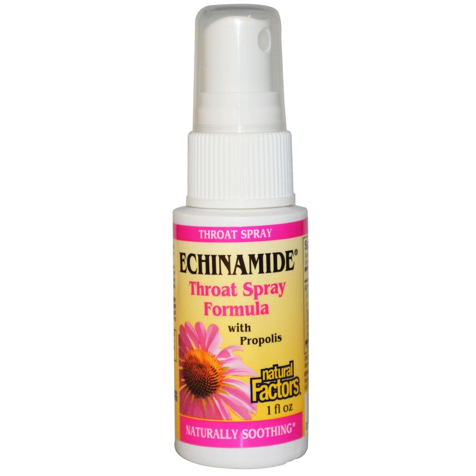Natural Factors, Echinamide, Throat Spray Formula with Propolis, 29.6 ml, 1 fl oz