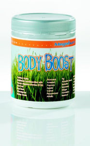 Megaburn Body Boost Powder 240g