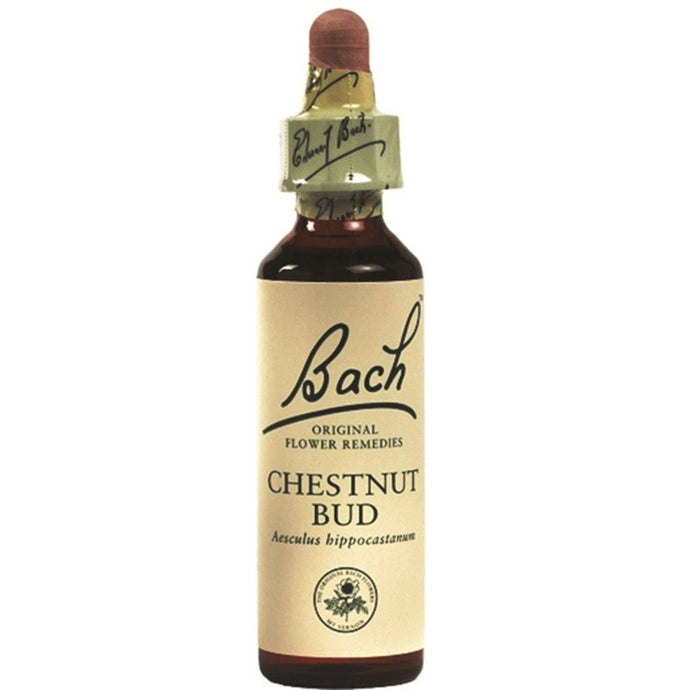 Bach Flower Remedies Chestnut Bud 10ml