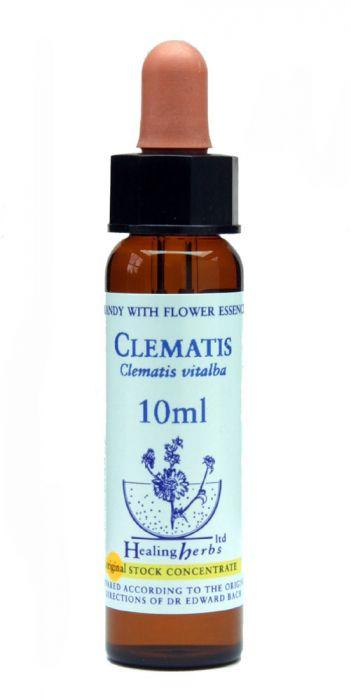 Bach Flower Remedies Clematis 10ml