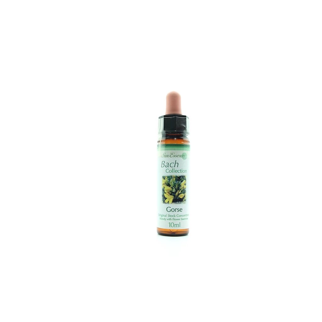 Bach Flower Remedies Gorse 10ml