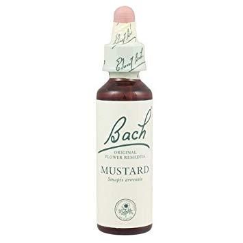 Bach Flower Remedies Mustard 10ml