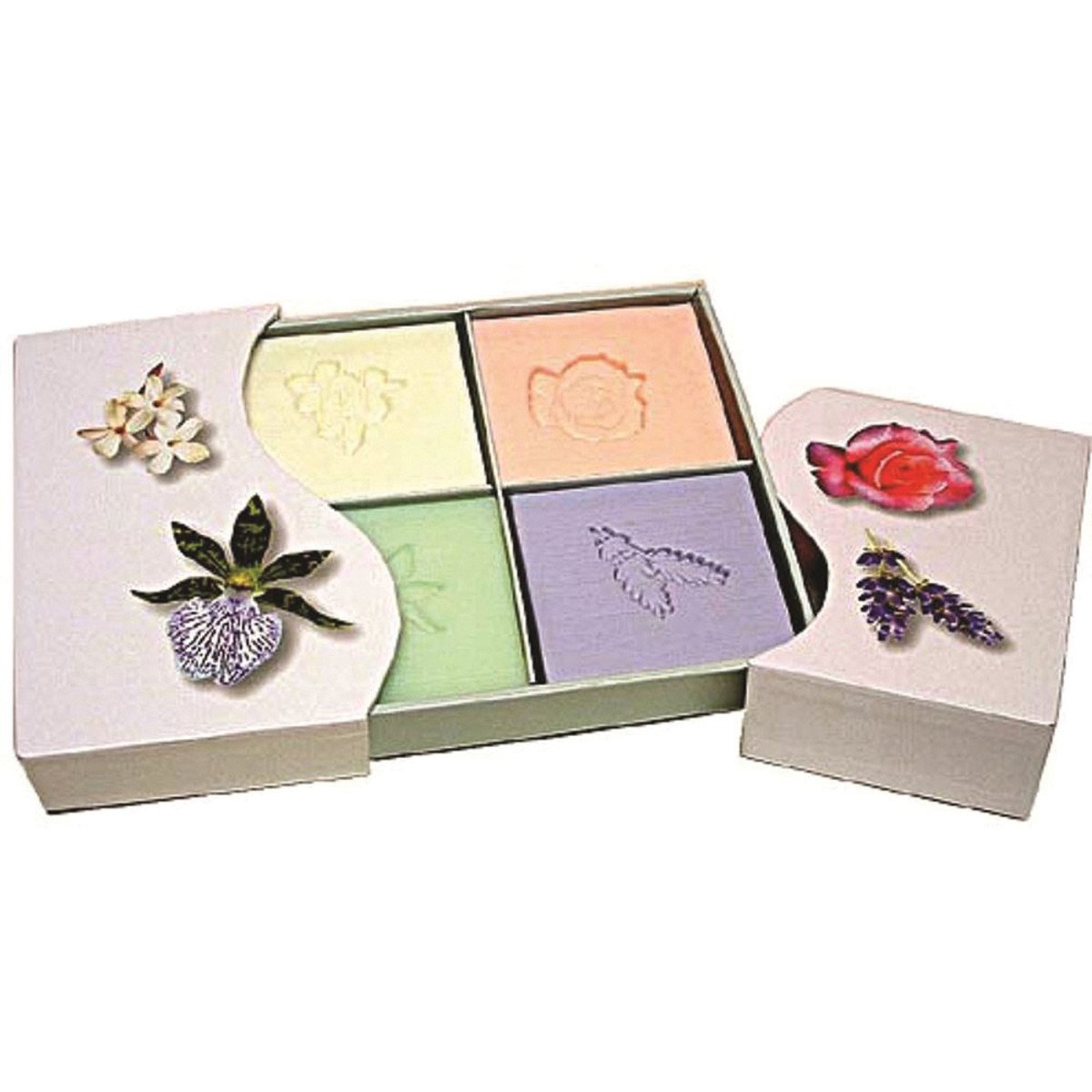 Clover Fields Floral Box x 4 Pack