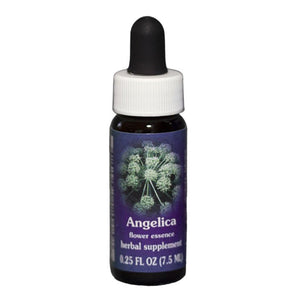 Fes Quintessentials Angelica 7.5ml