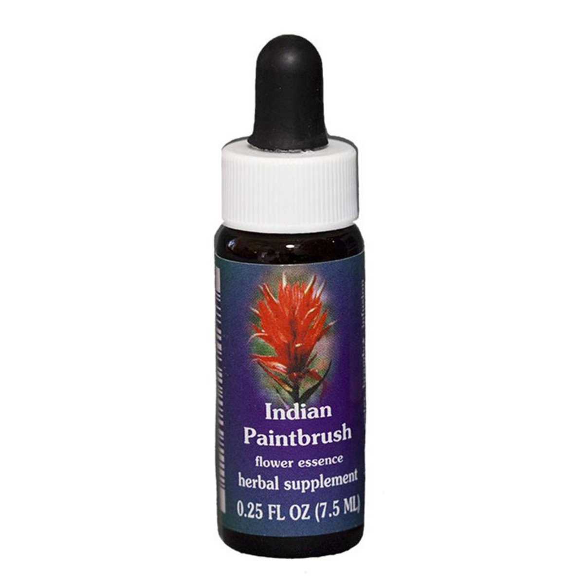 Fes Quintessentials Indian Paintbrush 7.5ml