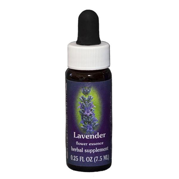 Fes Quintessentials Lavender 7.5ml