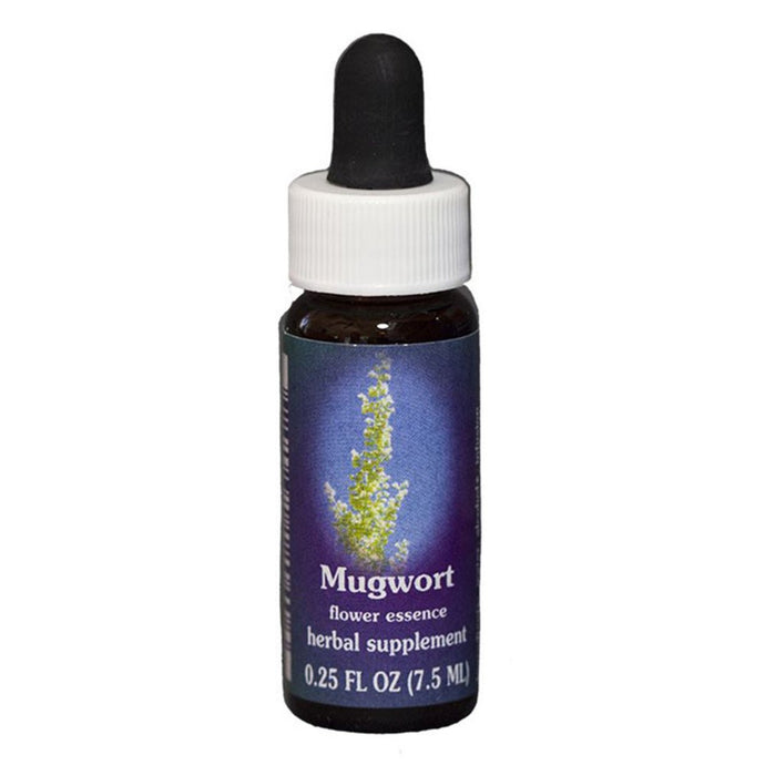 Fes Quintessentials Mugwort 7.5ml