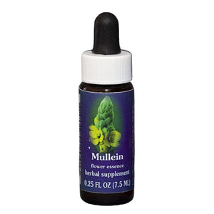 Fes Quintessentials Mullein 7.5ml