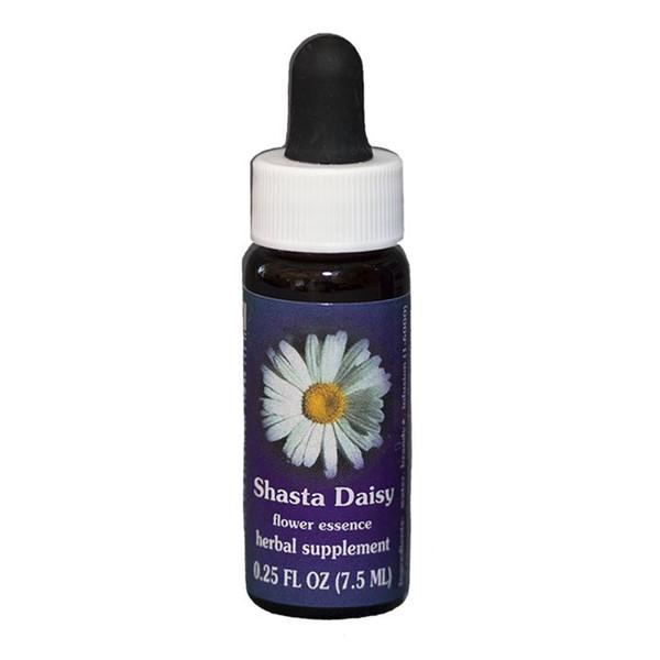 Fes Quintessentials Shasta Daisy 7.5ml