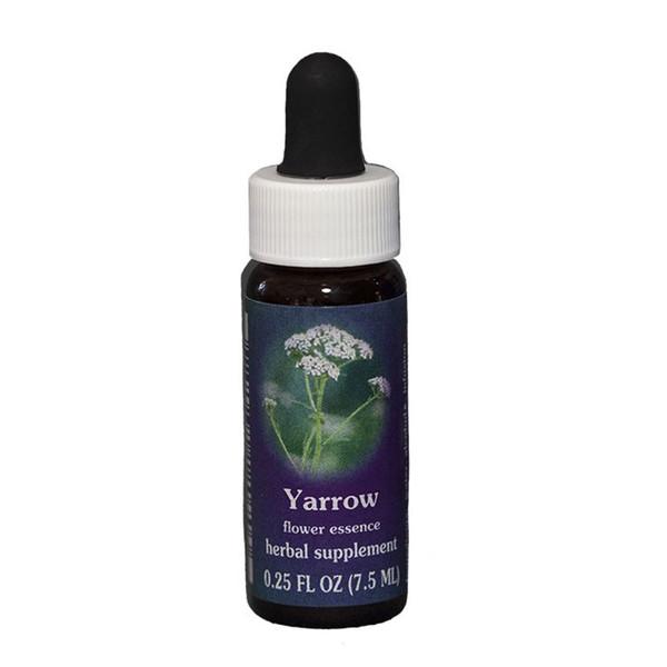 Fes, Quintessentials Yarrow, 7.5ml