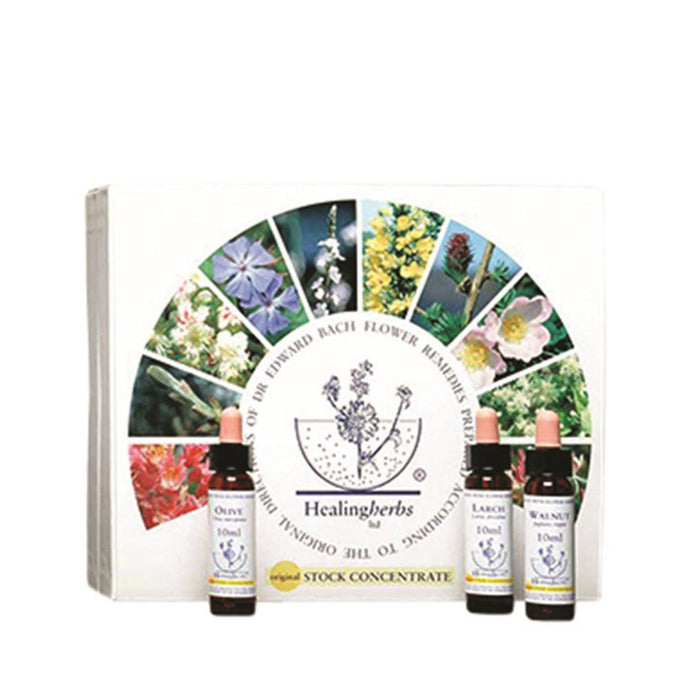 Healing Herbs Bach Flower Remedy 10ml x 40 Box Set