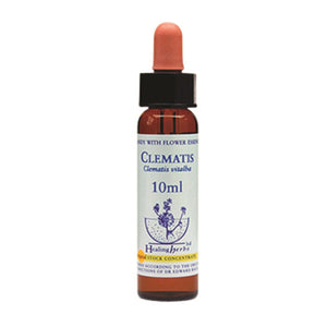 Healing Herbs Clematis Bach Flower Remedy 10ml