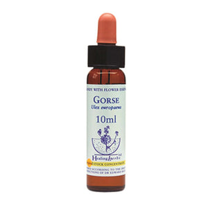 Healing Herbs Gorse Bach Flower Remedy 10ml