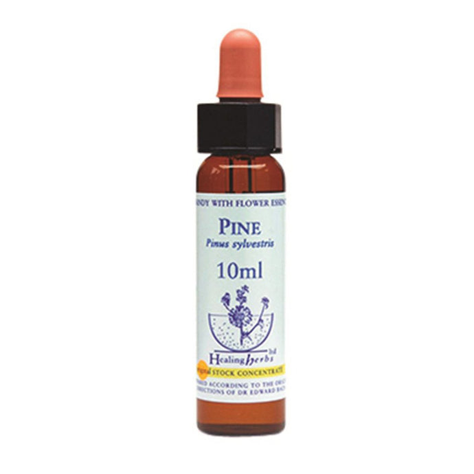 Healing Herbs Pine Bach Flower Remedy 10ml