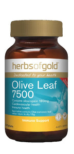 Herbs of Gold Olive Leaf 7500, 60 Tablets