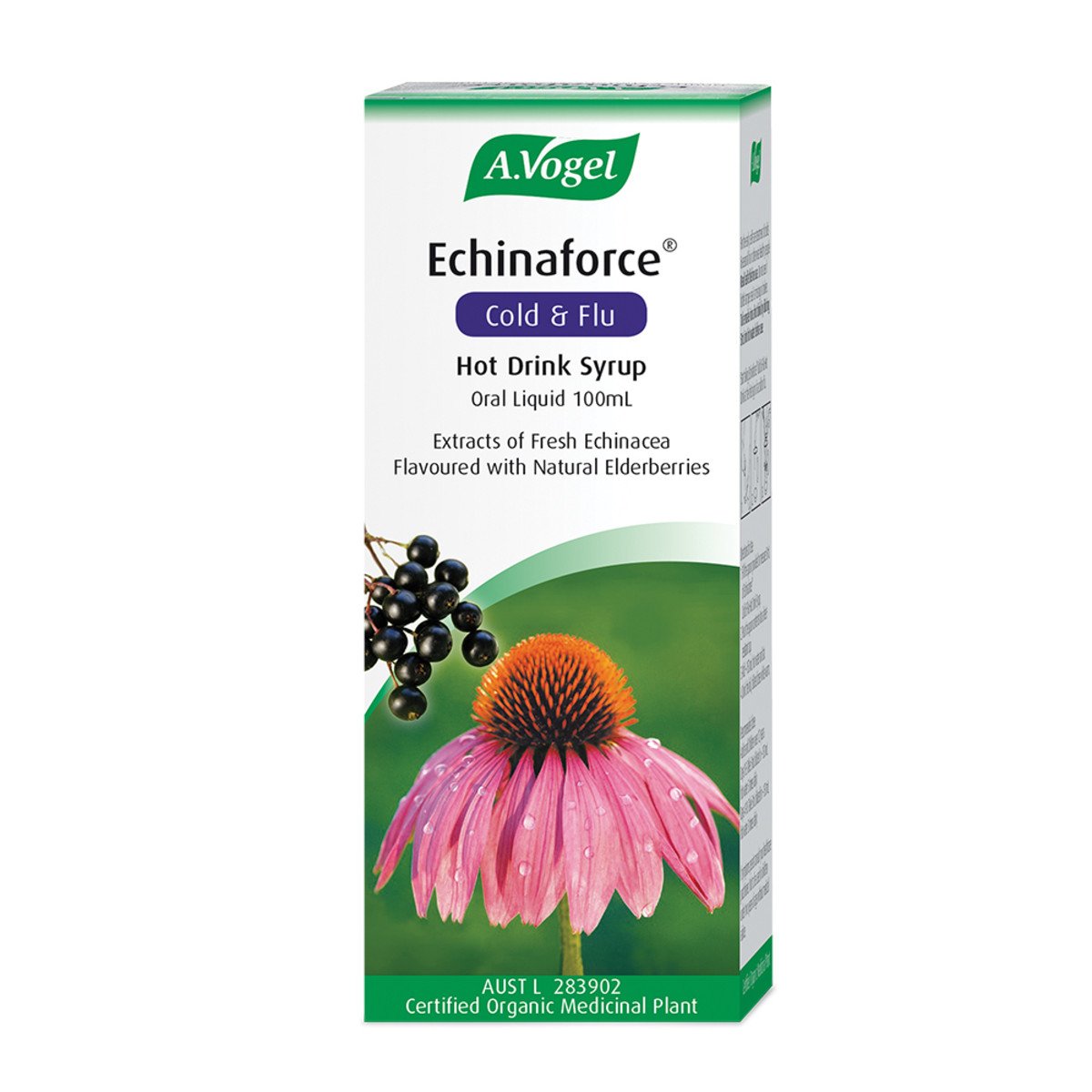 Vogel Organic Echinaforce Hot Drink Syrup 100ml